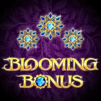 Blooming Bonus 96.01