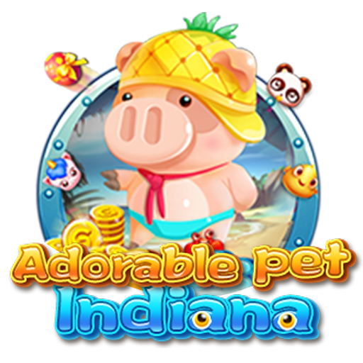 Adorable pet  Indiana