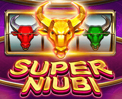 SuperNiubi